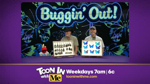 Diving into the world of bugs with Jim Louderman from the Chicago...